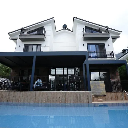 Sayir 2 Premium Villa's * Фетхие
